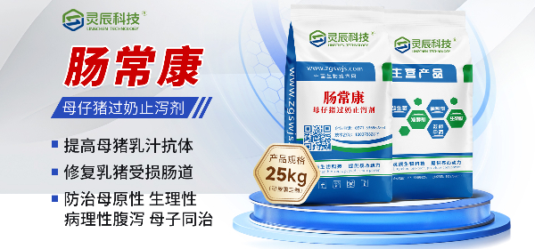 网站.jpg