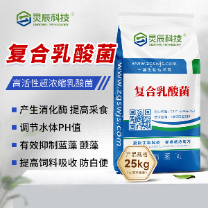 复合乳酸菌原种