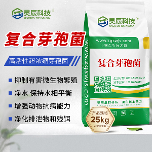 复合芽孢菌原种