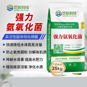 强力氨氧化菌
