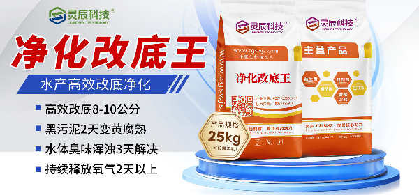 横版.jpg 横版.jpg